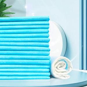 Tapis d'entraînement jetables doux et hypoallergéniques pour chiots et chats, anti-fuites - Product Image 4