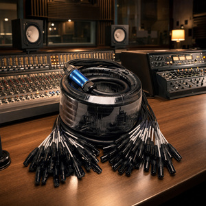Cavo Snake Audio Multicore Bilanciato OFC a 32 Canali <span class=keywords><strong>XLR</strong></span> Maschio-Femmina da 20m con Connettori Metallici per Studio e Palco - Product Image 4