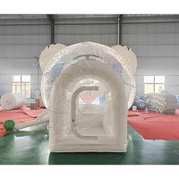 Château gonflable 3D Tigre certifié CE, nouvelle tendance, château de rebond gonflable, tentes à bulles, maison à bulles gonflable
