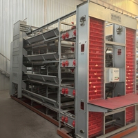 BANGYUAN AUH-650 Nouveau design 240/300 têtes, cages automatiques pour poules pondeuses de type H à 4 niveaux en acier galvanisé à chaud, capacité 96-160 poules