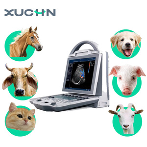 Escáner de ultrasonido B veterinario portátil Tipos de sondas múltiples para exámenes de <span class=keywords><strong>riñón</strong></span> de vejiga hepática canina XUCHN Kx5600 CE - Product Image 1