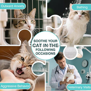 OEM <span class=keywords><strong>gatto</strong></span> calmante mastica integratori per la cura della salute degli animali domestici mantenere livelli di Stress sani per alleviare l'ansia Stress dolcetti calmanti per gatti - Product Image 5