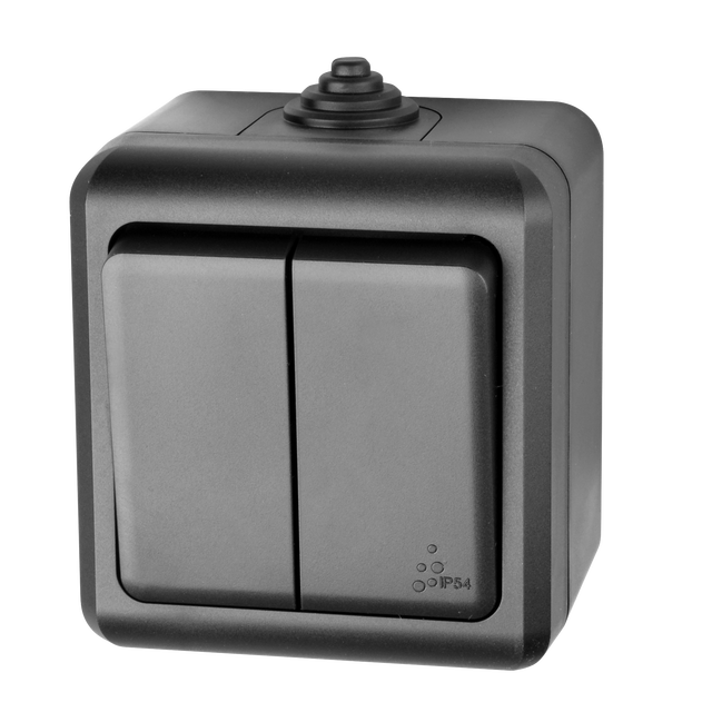 European Black Switch Waterproof Surface Mounting 2 Gang 1 Way IP54 Electric 10A Wall Switches