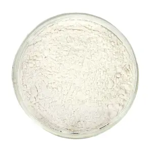 Food Grade/ Cosmetic Grade/ Industrial Sodium Alginate untuk Stabilizer