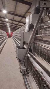 Gran oferta <span class=keywords><strong>de</strong></span> jaulas <span class=keywords><strong>de</strong></span> pollo galvanizadas tipo A completamente automatizadas, equipo <span class=keywords><strong>de</strong></span> granja especializado para cría <span class=keywords><strong>de</strong></span> aves <span class=keywords><strong>de</strong></span> corral, nueva jaula <span class=keywords><strong>de</strong></span> gallo - Product Image 5