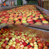 Apple Wasmachine Apple Grading Lijn Automatische Groente-en Reinigingsmachine En Sorteren Machine