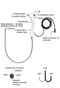 Vente chaude, équipement médical flexible réutilisable en fibre pour urétéroscopie, source de lumière, pyéloscopie, endoscope pour diagnostic vétérinaire - Product Image 2