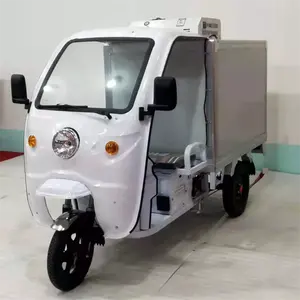 European And American Certified Electric Freight Tricycle Electric Tricycle With Cold Storage