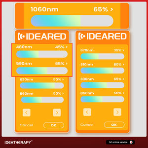 Iideared ไฟอินฟราเรดสีแดงแบบเต็มตัวพร้อมปลั๊กควบคุมความเจ็บปวด - Product Image 2
