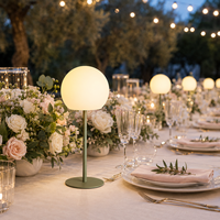 Lampe de table moderne et amusante en fer PE RGB avec télécommande pour chambre nuptiale, chevet, coiffeuse, lumière d'ambiance décorative