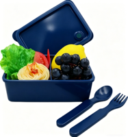 Boîtes à lunch scolaires modulaires personnalisables avec logo, compatibles micro-ondes et sans BPA, sans plastique, pour enfants, récipient alimentaire chauffable