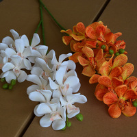 Fleurs artificielles en soie européennes en gros, 5 orchidées Phalaenopsis papillon à 2 tiges, réutilisables, recyclables, imprimées en 3D