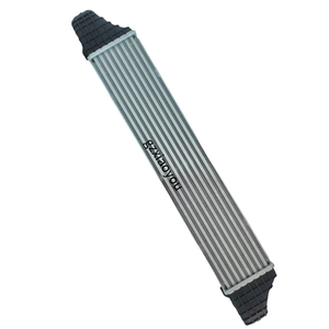 Pour <span class=keywords><strong>mercedes</strong></span>-benz C-CLASS (<span class=keywords><strong>W203</strong></span>) (CL203) modèle T (S203)/CLK (C209)C-CLASS modèle T (S203) refroidisseur (refroidisseur d'air de suralimentation) OEM 2035000500 - Product Image 2