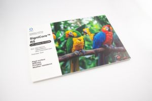 Logo personnalisé, écologique, recyclable, rigide avec mousse, matériaux recyclés, Signicore R5, faible MOQ - Product Image 3