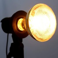 Lampe chauffante pour animaux de compagnie, poussins, porcs et autres animaux – Lampe de reproduction et de chauffage