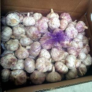 Verdure tipo di prodotto cina aglio fresco con grande qualità di imballaggio in borsa a rete o cartone - Product Image 3