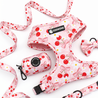 Harnais personnalisé pour chien, gilet en néoprène doux et respirant à motifs, ensemble de harnais réfléchissant anti-traction pour chien, laisse et sacs à déjections inclus
