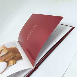 Libro di Lusso con Copertina Rigida Personalizzata, Stampa a Colori, Goffratura in Lamina d'Oro, Libro Premium - Product Image 2