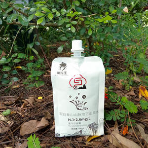 Impresión personalizada Envases de plástico PE ecológicos Recarga a prueba de fugas Bolsa de boquilla líquida para bebida de agua de jugo - Product Image 6