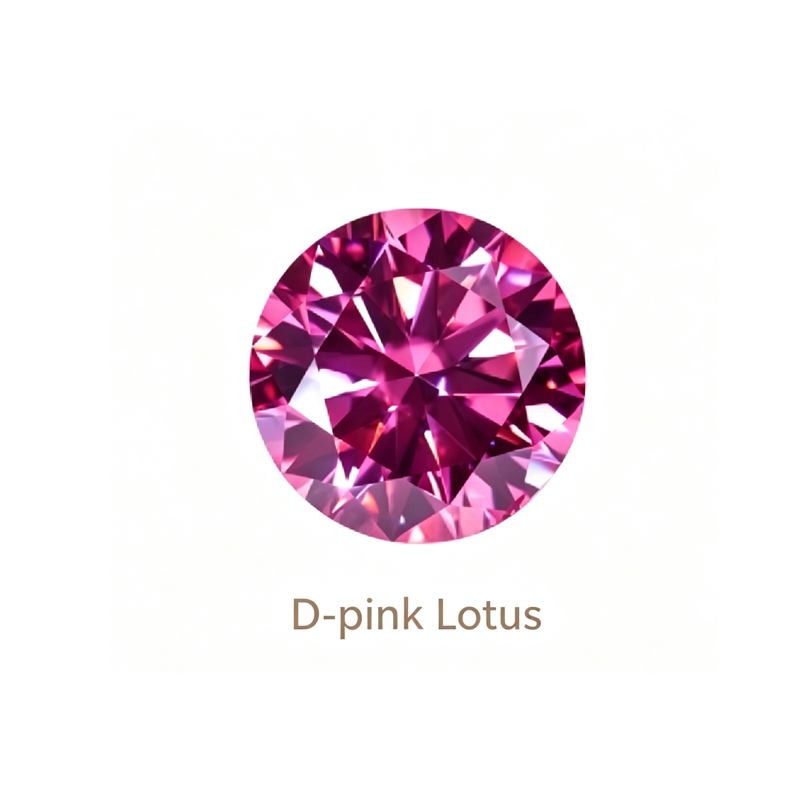 D-loto rosa