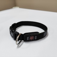 Collier de chien lumineux en cuir PU matériel Logo personnalisé porte-étiquette pneumatique mignon collier rose pour animaux de compagnie pour la formation à la marche