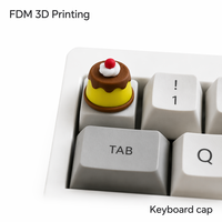FDM 3D Printed Keycaps Custom Logo PLA Resin Mechanical Keyboard Keycap Creative DIY 3D Printing Service