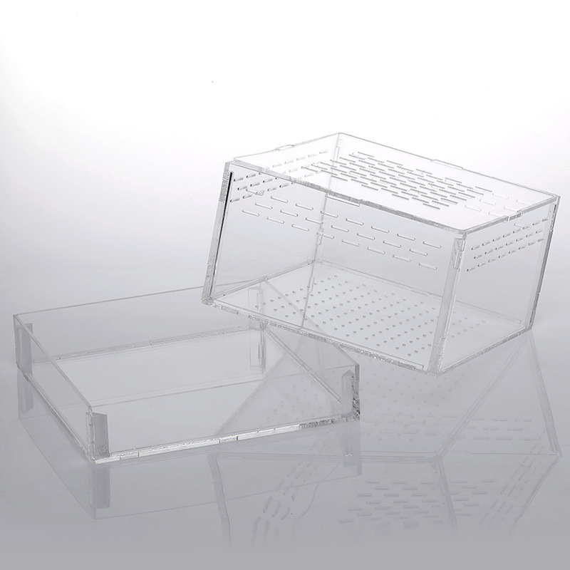 How to Choose the Best Mealworm Feeder for Bluebirds: A Complete Guide