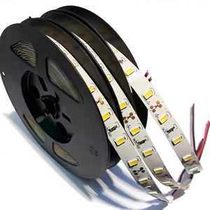 5630 Flexible LED <b>Strip</b> 60LEDs/M DC12V Single Color High Brightness <b>Strip</b> for Residential & Commercial Lighting - Product Image 2