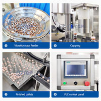 Machine automatique de remplissage, de bouchage et de scellage de petites flacons en plastique, ligne de remplissage d'injection de poudre sèche d'huile