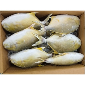 Nuova Stagione in Arrivo a Maggio: Pesce Pomfret Dorato Congelato, Pompano Dorato WR, con Tutti i Tipi di Pesce Fornito - Product Image 6