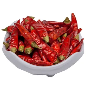 Piment rouge séché chaud et épicé exporté en Chine Produits d'épices et d'herbes granules transformés crus Piment rouge séché