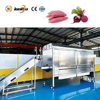 Continue schilmachine van 304 roestvrij staal voor wortelgroenten en fruit, geschikt voor wortelen en aardappelen.