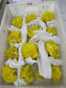 Spécimen de groupe de cristal de roche minéral de quartz de cristaux jaunes naturels grappe de minerai de <span class=keywords><strong>soufre</strong></span> pour la décoration - Product Image 6