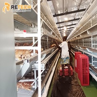 Système de collecte automatique d'œufs pour élevages avicoles au Nigeria, cages à poules pondeuses de type H à vendre