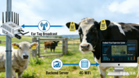Passerelle MQTT alimentée par PoE pour l'extérieur, système de suivi du bétail en ferme intelligente, capteur de température corporelle, accéléromètre, balise BLE