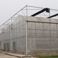 Tente de serre doubles avec système de refroidissement et isolation, en forme de Tunnel, fonctionne pour les poules, les animaux de la ferme, 4 unités