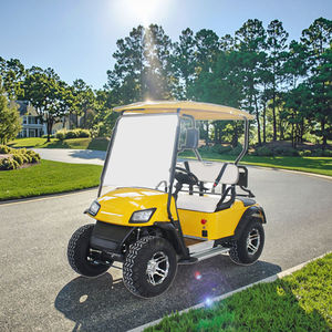 Fabricante Personalizado, Venta al Por Mayor, Carro de Golf Eléctrico de 2 Plazas de Buena Calidad para Carreteras No Públicas - Product Image 2