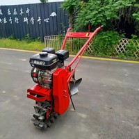 Cultivateur agricole économique à moteur diesel/essence, mini-motoculteur à chenilles simples, équipement agricole