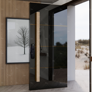 Portes en acier modernes pour villa, design italien dernier cri, portes d'entrée principales en acier inoxydable haute brillance - Product Image 4