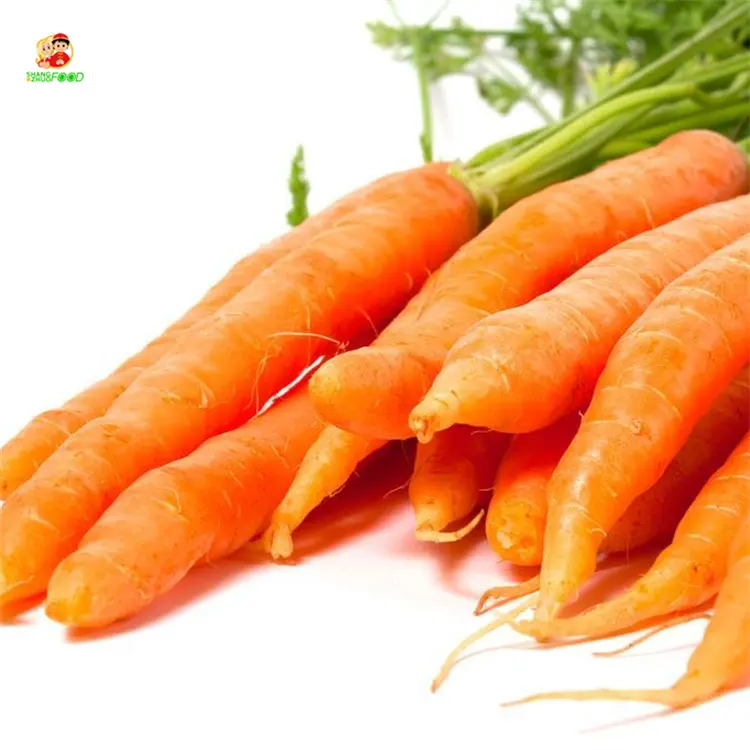Carota verdura fresca nuovo raccolto fresco carota lavaggio carota biologica congelati per l'esportazione