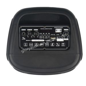 Bên ngoài trời hệ thống âm thanh K bài hát 20W loa siêu trầm nặng Bass LED đèn từ xa mic cho <span class=keywords><strong>DJ</strong></span> karaoke - Product Image 3