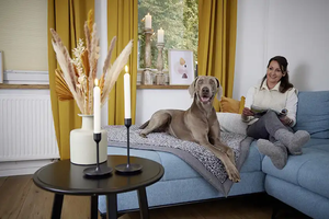 OEM ODM ad alta densità Memory Foam Dog letti ortopedici per animali domestici copertura rimovibile impermeabile - Product Image 2