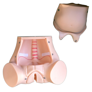 בובת אימון לידה מקיפה עם תינוקות להוראה רפואית - Product Image 5