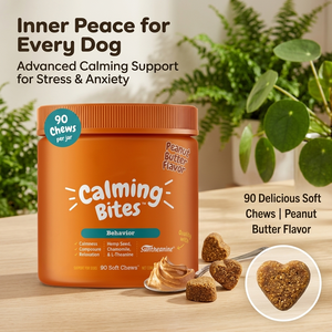 Melatonin suplemen menenangkan dan kecemasan untuk anjing kunyah lembut dengan akar Chamomile Valeria triptofan Theanine suplemen hewan peliharaan - Product Image 2