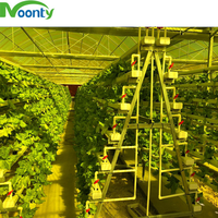 Serre multi-spans en polycarbonate ondulé tropical pour ferme/laboratoire/agriculture/commercial