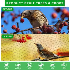 <span class=keywords><strong>Red</strong></span> Antiaves de Fácil Instalación, Resistente a los Rayos UV, Malla de PE de Alta Resistencia para Protección de Cultivos, Seguridad de Inventario - Product Image 4