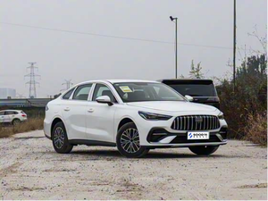 <span class=keywords><strong>2026</strong></span> Geely Galaxy Starshine 6 Hybride Auto Goedkope Auto 'S Voor Zeehond Gemaakt <span class=keywords><strong>In</strong></span> <span class=keywords><strong>China</strong></span> - Product Image 3