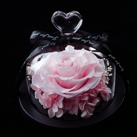 Boîte cadeau en verre pour rose unique, carnation, cadeau de la Saint-Valentin, vente en gros, Qixi