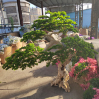 Arbre artificiel en pin Bosai en plastique, 100 % réaliste, fait main, vert, pour intérieur, en fibre de verre, grand arbre pour restaurant, résistant aux UV