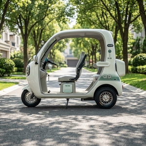 2026 Mini Micro 60V 1000W Elektrisches Lastendreirad mit Lenker, offenes, türloses, umwandelbares Elektrofahrzeug für den Haus- und Pendlerverkehr - Product Image 1